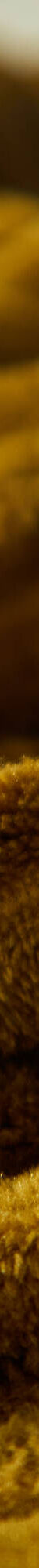 Plaid met ribbeleffect en pluchetouch (oker) Plaid met ribbeleffect en pluchetouch (oker)